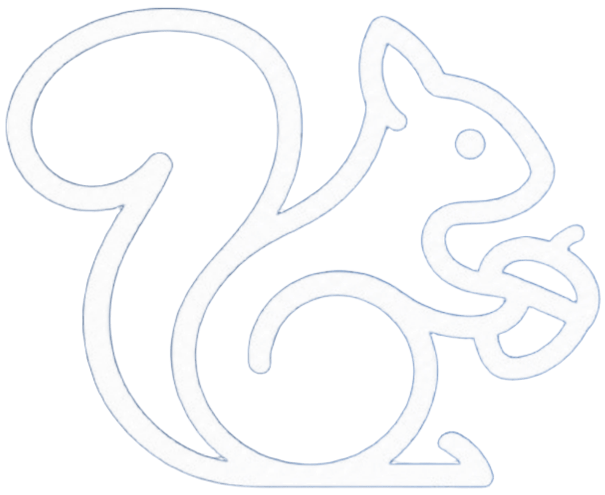Logo da Noz Inova